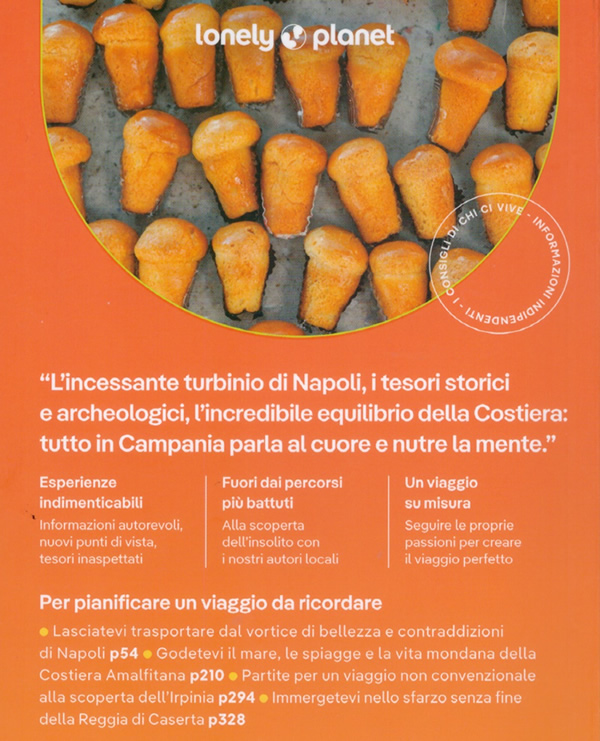 immagine di guida turistica guida turistica Campania - con Napoli, Pompei e la Costiera Amalfitana, Ercolano, Campi Flegrei, Paestum, Salerno, Cilento, Ischia, Procida, Capri, Positano, Amalfi, Vesuvio, Ravello, Grotta Azzurra, Benevento, il Sannio, Caserta, Avellino, Salerno, il Cilento - guida pratica per organizzare un viaggio perfetto - edizione 2025