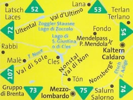 immagine di mappa topografica mappa topografica n.95 - Valle di Non/Nonstal, Passo Mendola/Mendelpass, Parco Naturale Adamello-Brenta, Cles, Val di Sole, Malè, Rabbi, Ultental, Val d'Ultimo, Terlano, Caldaro, Nonsberge, Salorno, Mezzolombardo - compatibile con GPS + mappa panoramica