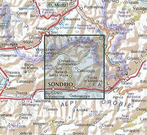 immagine di mappa topografica mappa topografica Valmalenco - con coordinate per sistemi GPS