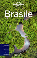 guida Brasile Rio de Janeiro, Sao Paulo, Paranà, Santa Catarina, Grande, Brasilia, Goias, Mato Grosso, Bahia, Salvador, Amazzonia, Cearà, Piauì, Maranhao, Sergipe, Alagoas 2020